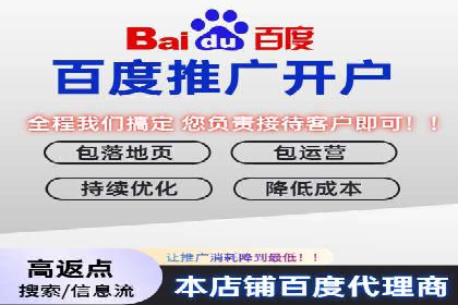 行业标杆：SEM推广代运营成功案例